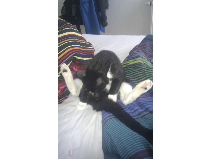 {{currentPhoto.altText}} billede {{currentPhoto.number}}