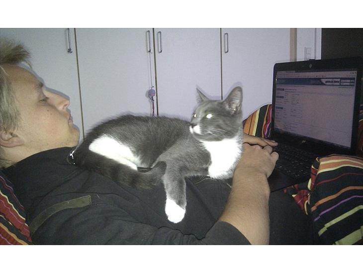 {{currentPhoto.altText}} billede {{currentPhoto.number}}