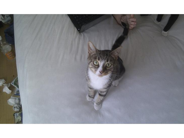 {{currentPhoto.altText}} billede {{currentPhoto.number}}