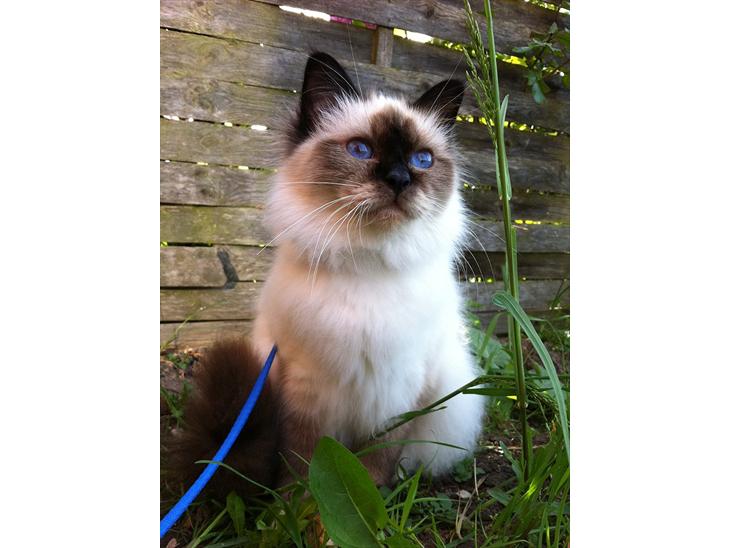 {{currentPhoto.altText}} billede {{currentPhoto.number}}