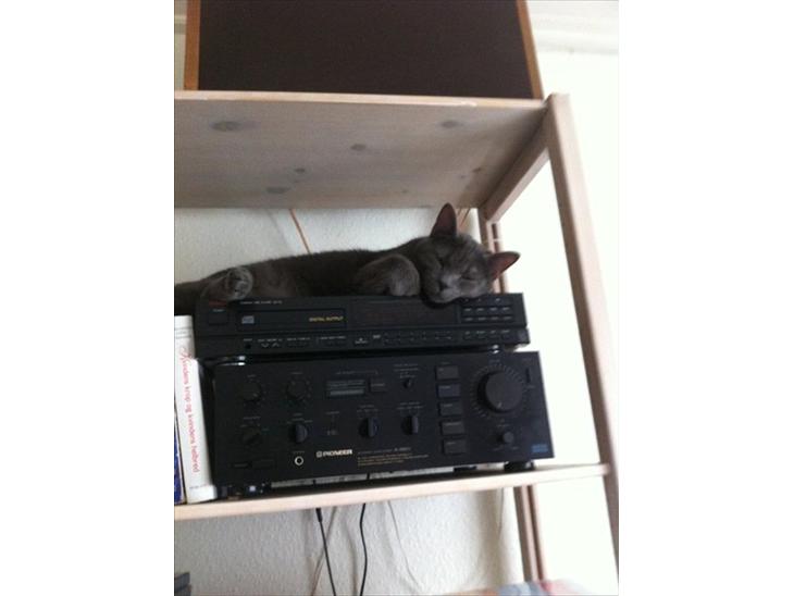 {{currentPhoto.altText}} billede {{currentPhoto.number}}