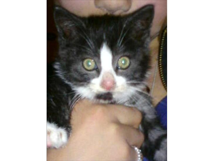 {{currentPhoto.altText}} billede {{currentPhoto.number}}