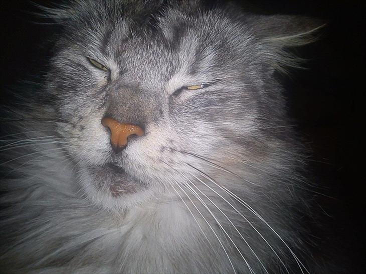 {{currentPhoto.altText}} billede {{currentPhoto.number}}