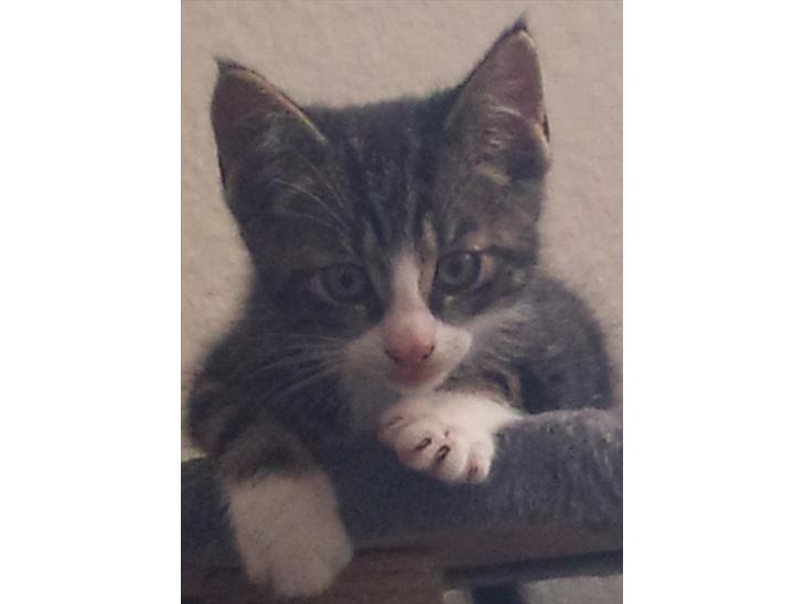 {{currentPhoto.altText}} billede {{currentPhoto.number}}