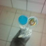 Blanding af racer Fiona