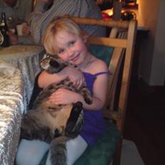 Blanding af racer Brumse