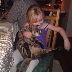 Blanding af racer Brumse