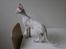 Cornish Rex DK Felis Schwencke Eowyn *Baby Boogie* - Lige et af de to billeder jeg selv tog af hende her da hun lige var kommet, der skal nok komme flere, men hun skal liiige falde til :)
