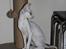 Cornish Rex DK Felis Schwencke Eowyn *Baby Boogie* - Hov, hva' var det mon?