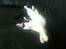 Huskat Mulle.