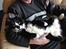 Huskat Sylvester *Sylle* RIP