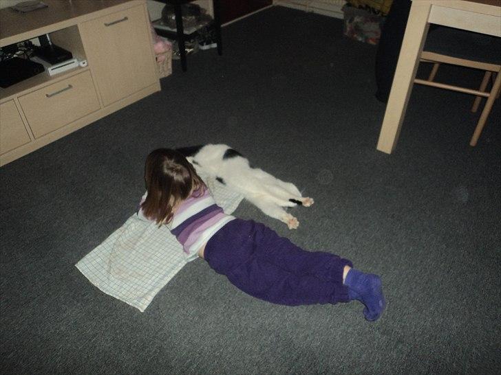 Huskat Anton billede 11