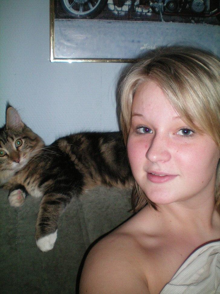 Maine Coon Noah #NoahBoah# - Noah og mig. :D billede 4