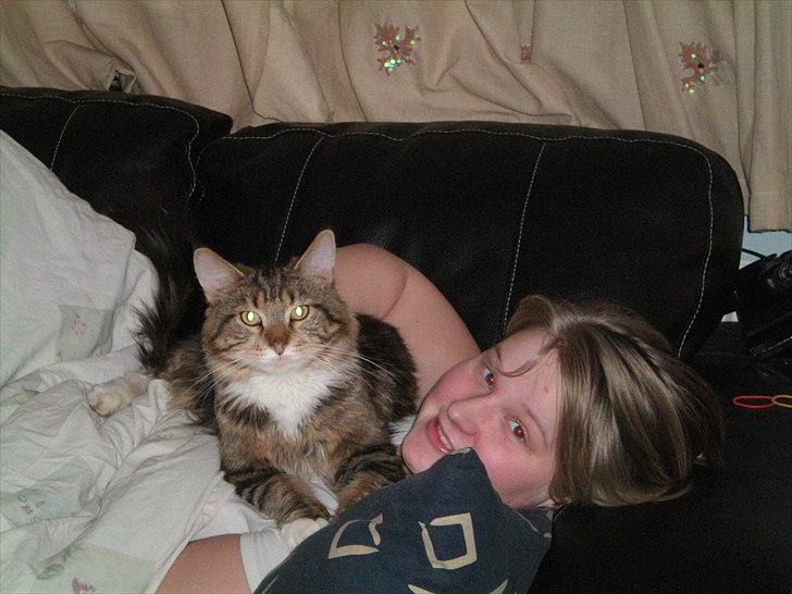 Maine Coon Noah #NoahBoah# - Lidt hygge med Noah og mig. :D billede 10