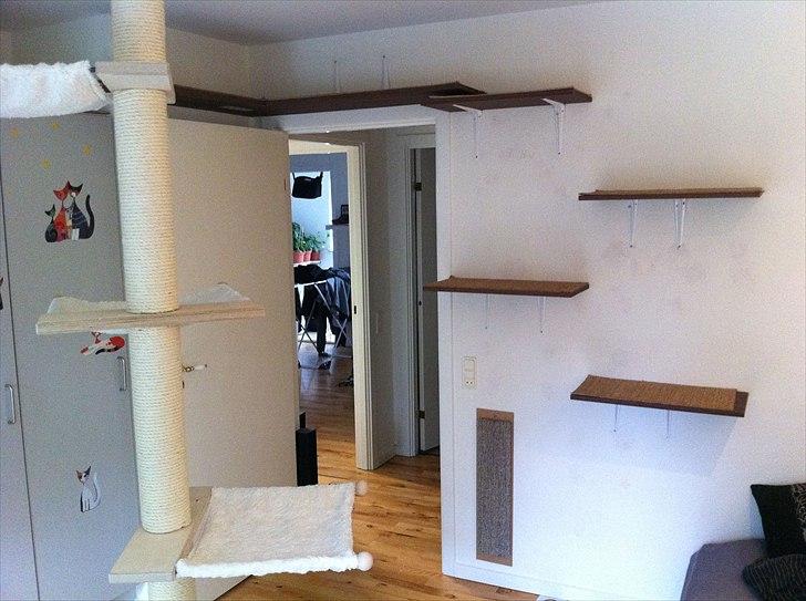 Huskat Felix - Hylder til "skabshulen" billede 7