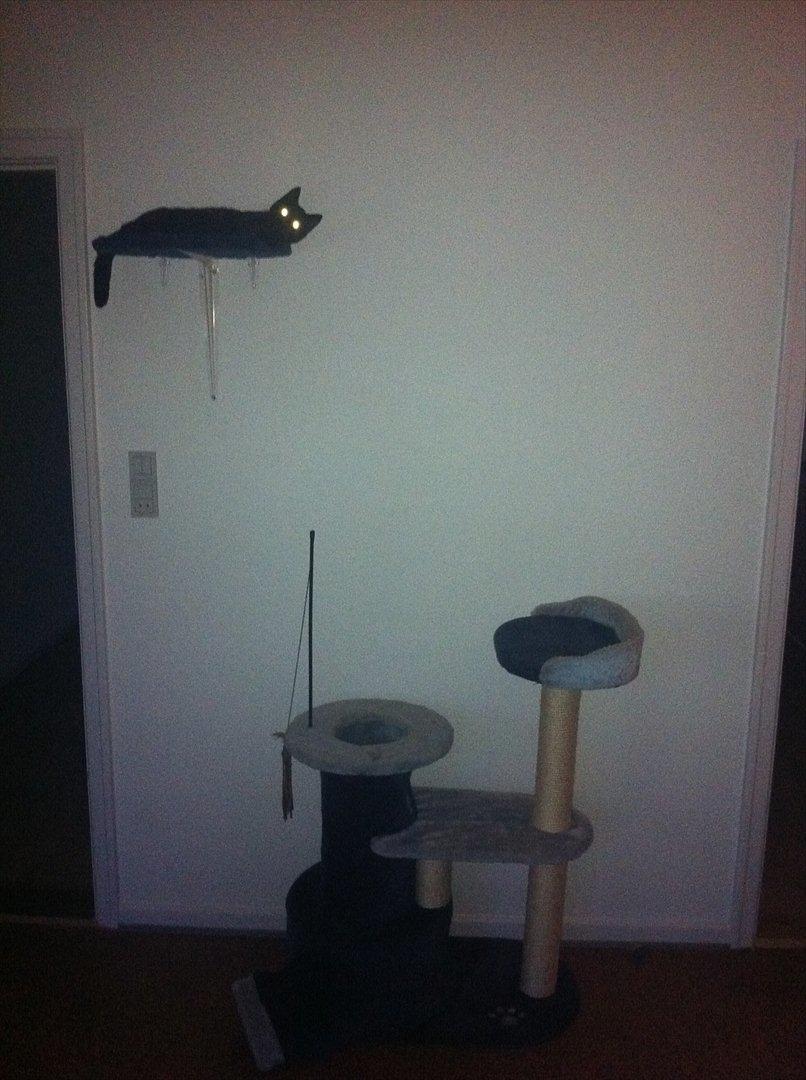 Huskat Preben - Det er slet ikke så nemt at komme helt der op, billede 4