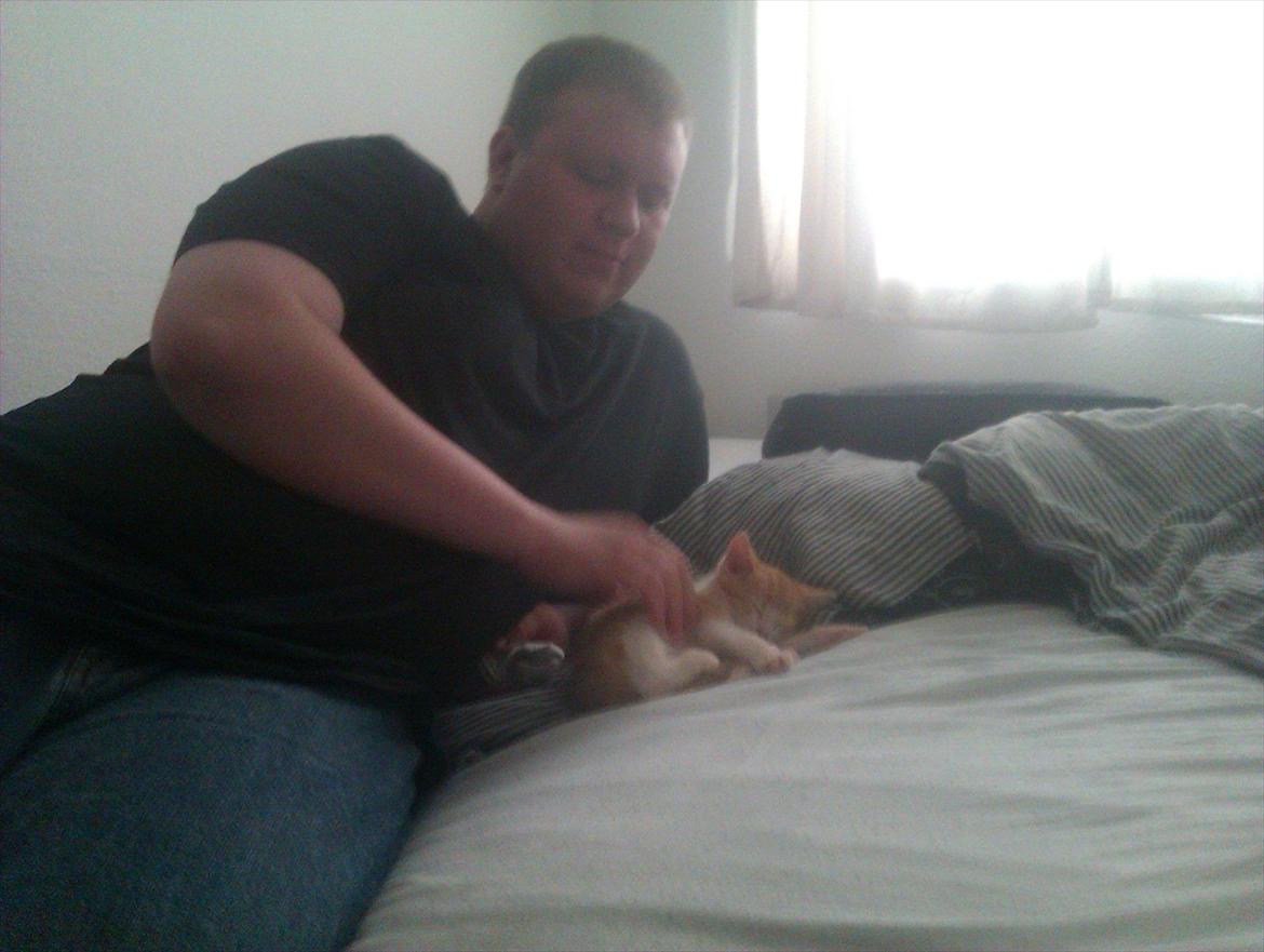 Huskat Louis - Her ligger jeg sammen med far. Er jeg ikk bare lille???  billede 2