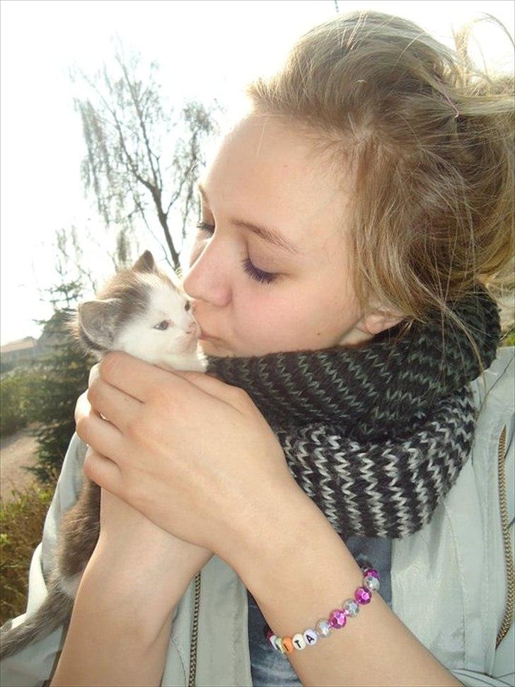 Huskat SILKE (fin) - da hun var lille:-) billede 7