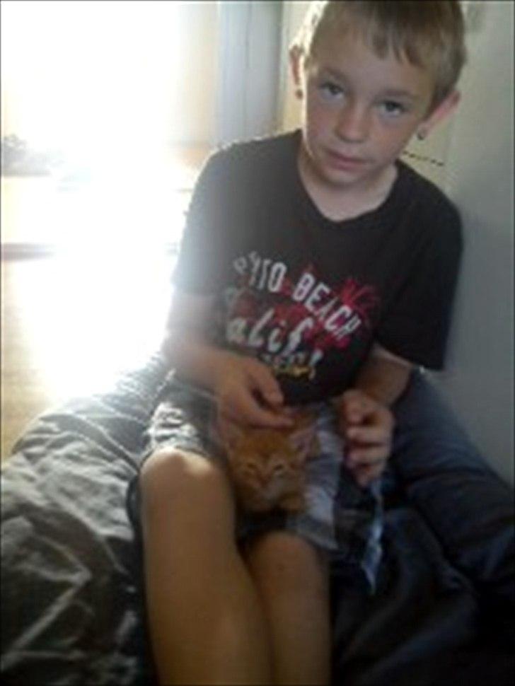 Blanding af racer Carlos billede 8