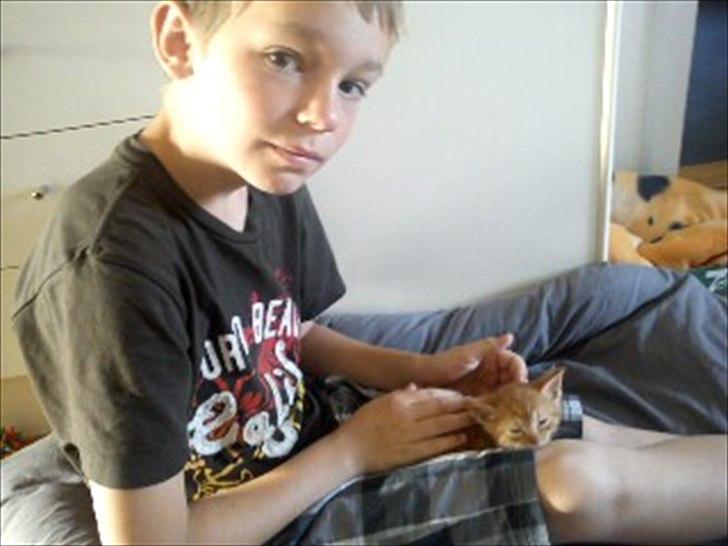 Blanding af racer Carlos billede 9