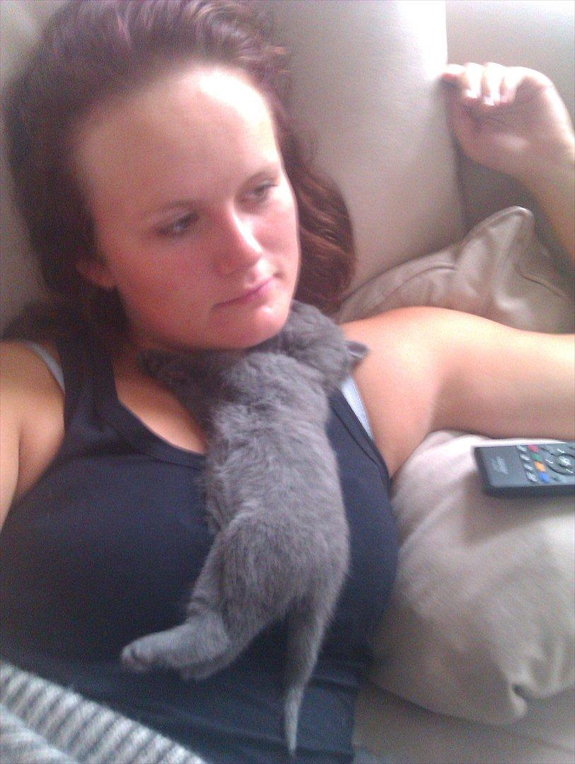 Blanding af racer Bodil billede 13