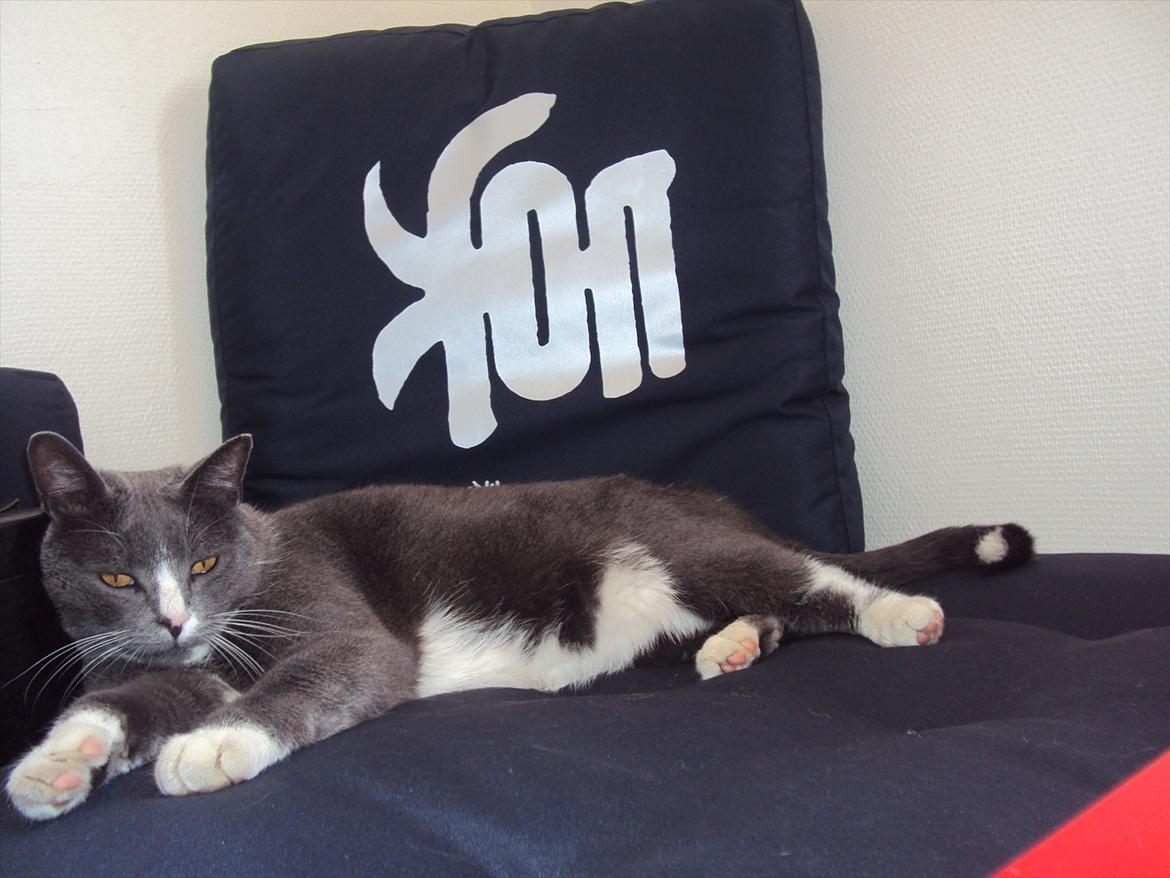 Huskat valde billede 9