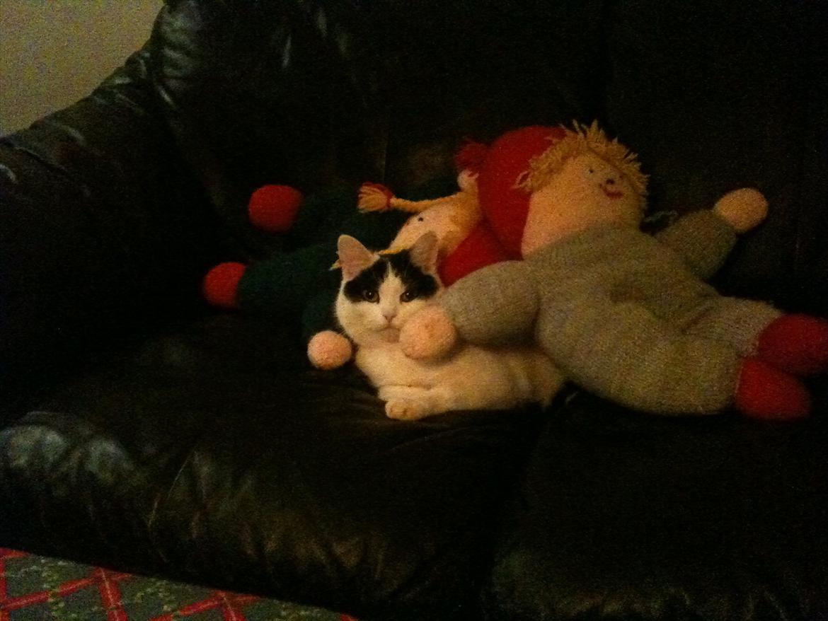 Huskat Mulle. billede 9