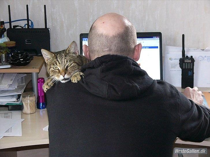 Huskat Gismo R.I.P 29 AGUST 2011 billede 8