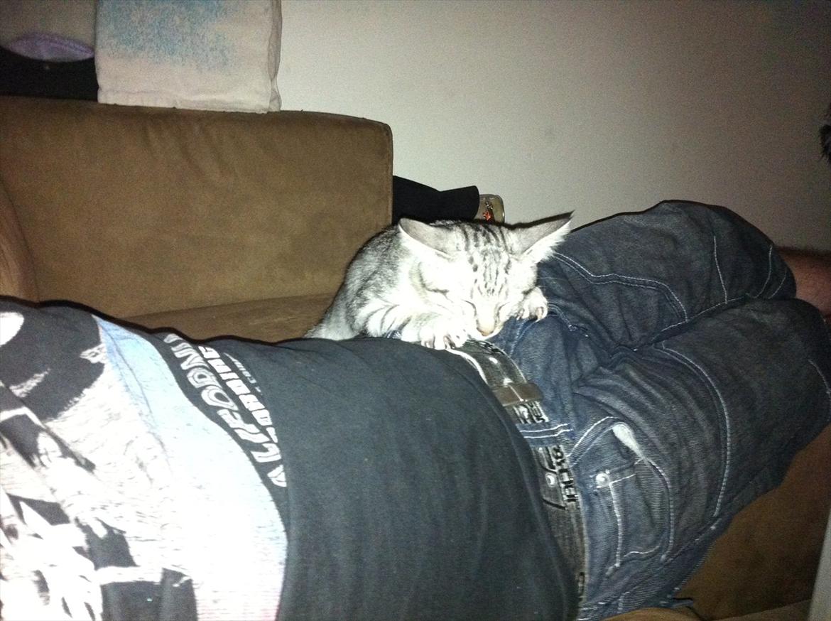 Blanding af racer Marco - Marco putter (: billede 8