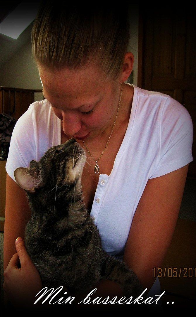 Blanding af racer Bassemand - Basse & jeg hygger (: billede 2