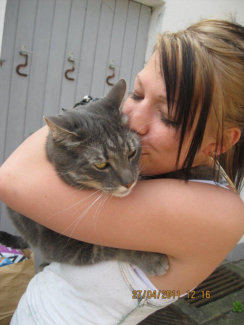 Blanding af racer Bassemand - Basse & jeg hygger (: billede 10