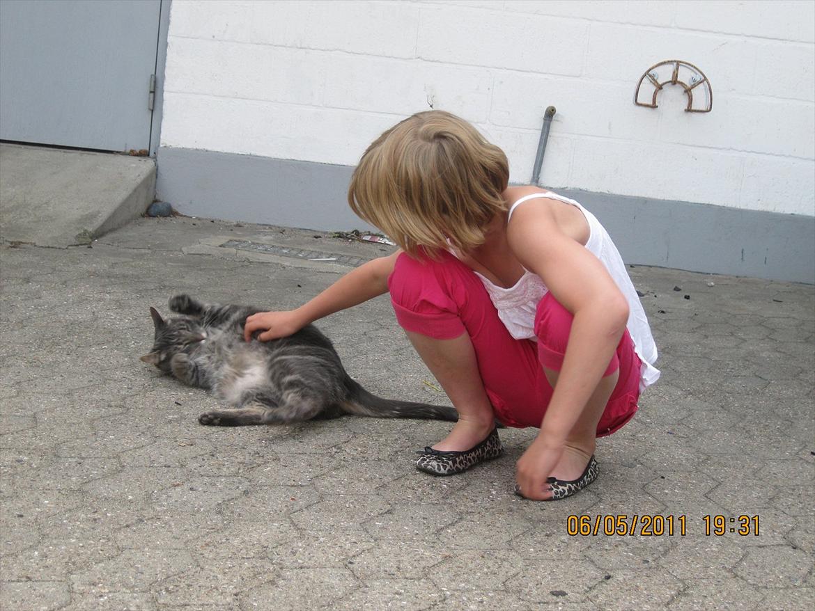 Blanding af racer Bassemand - Basse & min lillesøster hygger :D billede 13