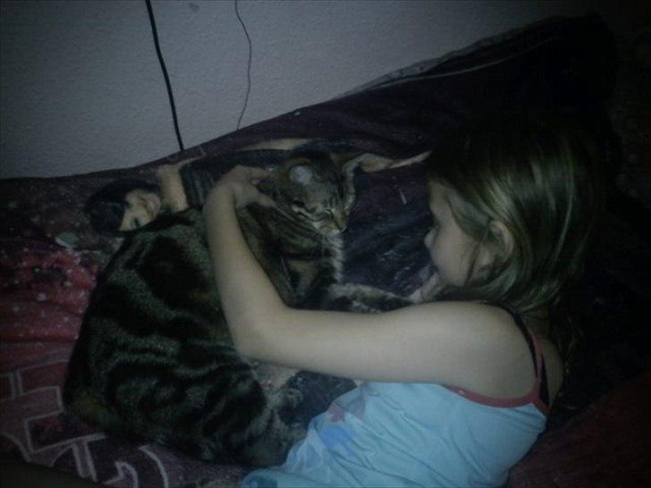 Huskat Magnus<33 - Nina og Magnus - for ever and ever!! billede 20