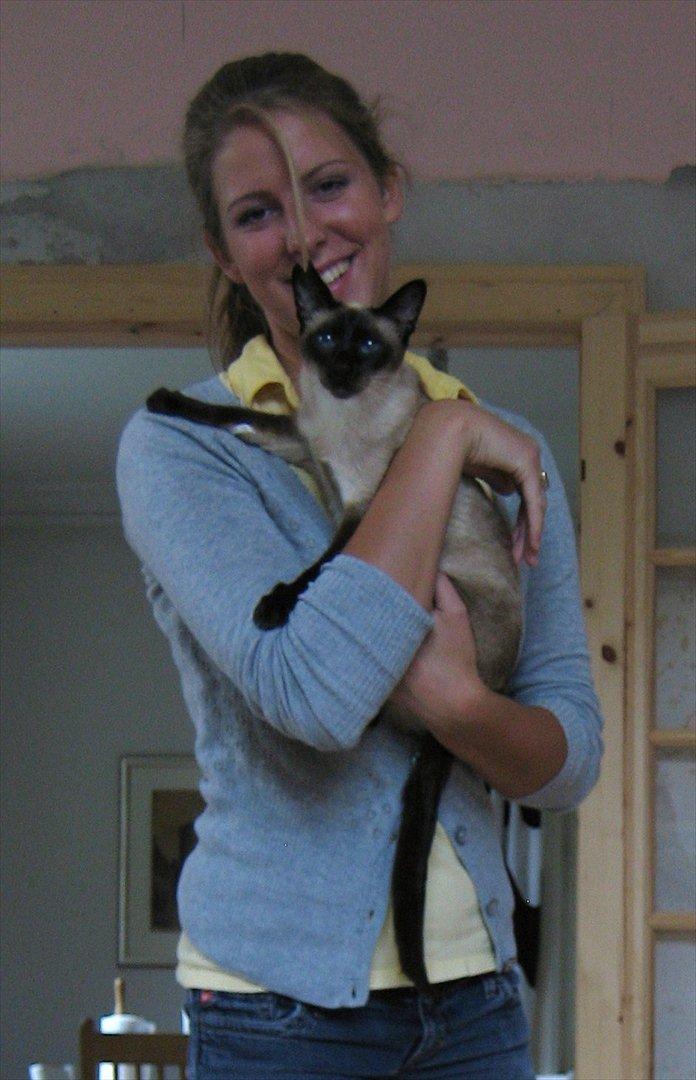 Siameser DK Hancock's Rosie - Mig og Rosiemissen. Savner hende så forfærdeligt! :'( billede 4