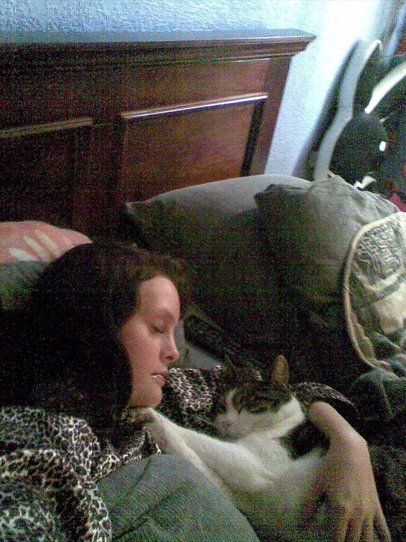 Blanding af racer Kashmir *R.I.P min engel* <3 billede 10