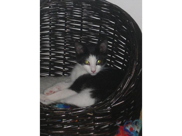 {{currentPhoto.altText}} billede {{currentPhoto.number}}