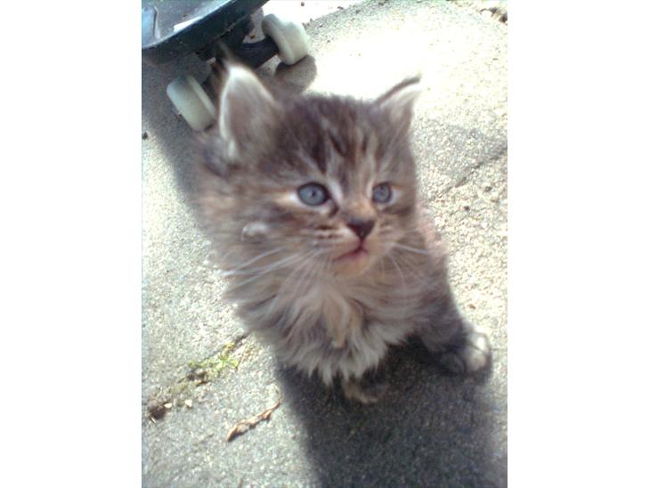 {{currentPhoto.altText}} billede {{currentPhoto.number}}