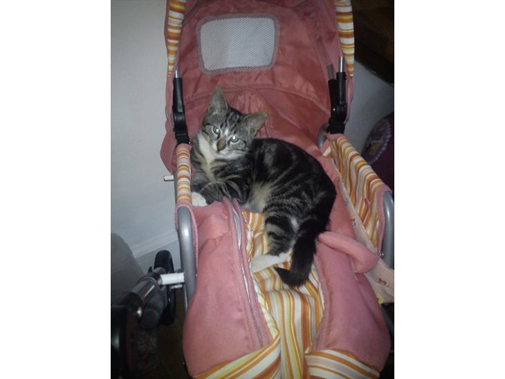 {{currentPhoto.altText}} billede {{currentPhoto.number}}