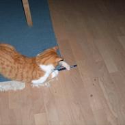 Blanding af racer Luffe