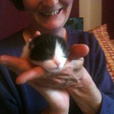 Blanding af racer Pluto