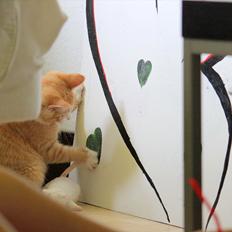 Blanding af racer Anders