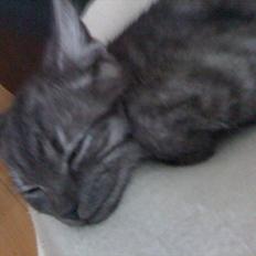 Blanding af racer candy