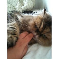 Perser Maria / kaldet Emma