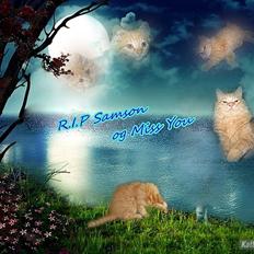 Blanding af racer Samson død *R.I.P* :´(