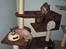Devon Rex Vonaldenborg´s Bacon Balthazar