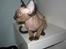 Devon Rex Vonaldenborg´s Bacon Balthazar