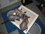 Devon Rex Vonaldenborg´s Bacon Balthazar