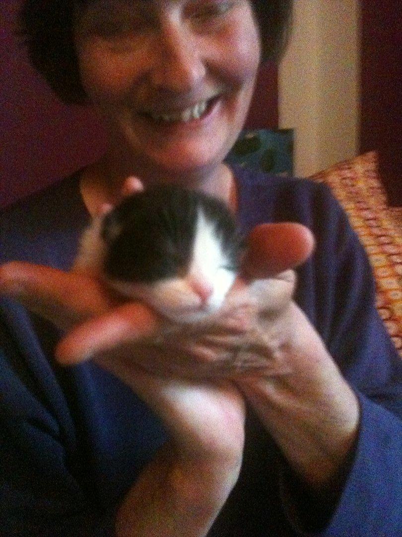 Blanding af racer Pluto - første gang jeg så Pluto billede 2