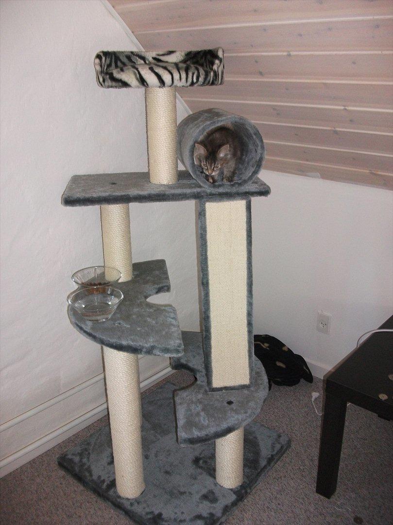 Blanding af racer Martha  - Legepladsen... billede 2