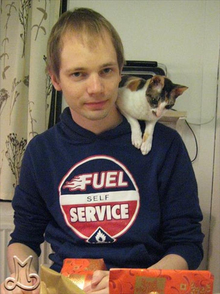 Cornish Rex Kaomi's Amira billede 13